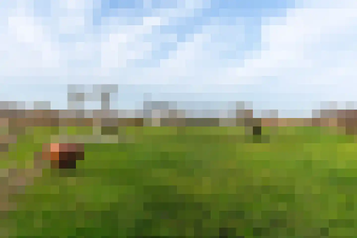 Pier Hylckeshof 6 Sneek thumbnail 69