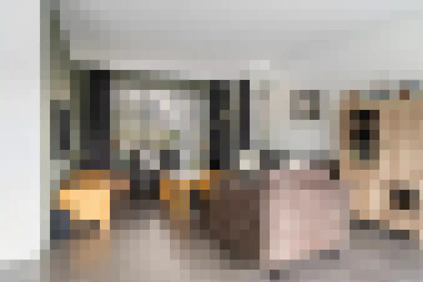 Pier Hylckeshof 6 Sneek thumbnail 9