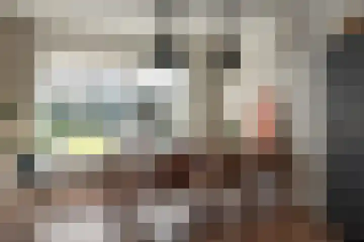 Pier Panderstraat 19 Joure thumbnail 11