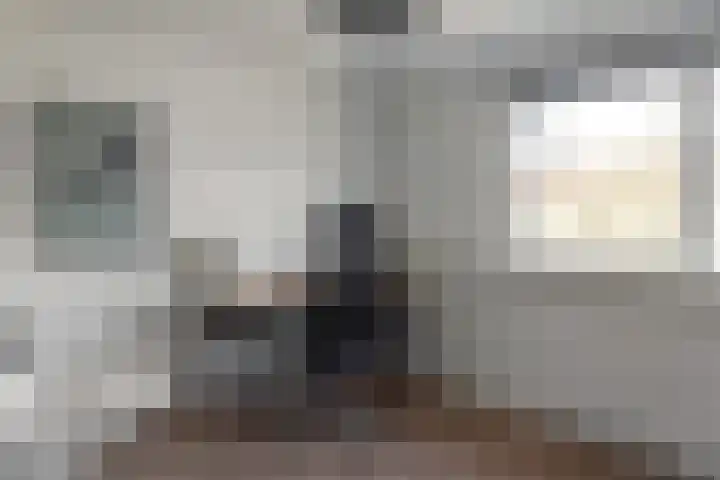 Pier Panderstraat 19 Joure thumbnail 21