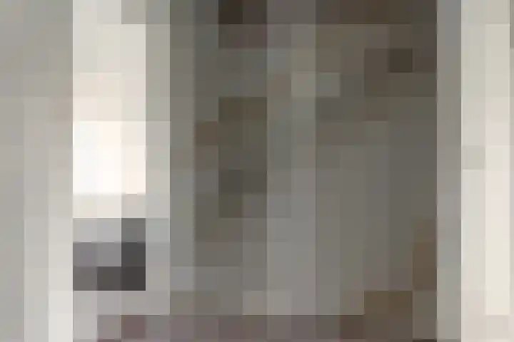 Pier Panderstraat 19 Joure thumbnail 26