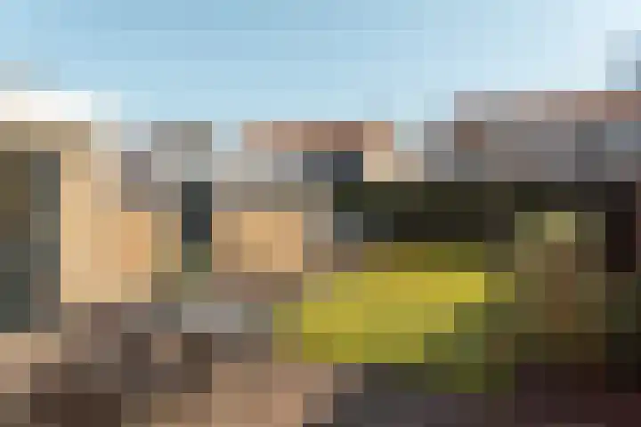 Pier Panderstraat 19 Joure thumbnail 29
