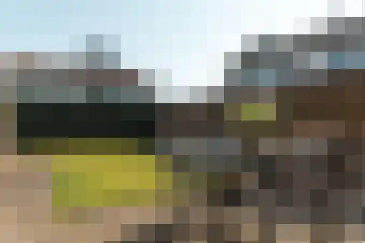 Pier Panderstraat 19 Joure thumbnail 30