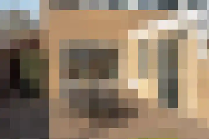 Pier Panderstraat 19 Joure thumbnail 34