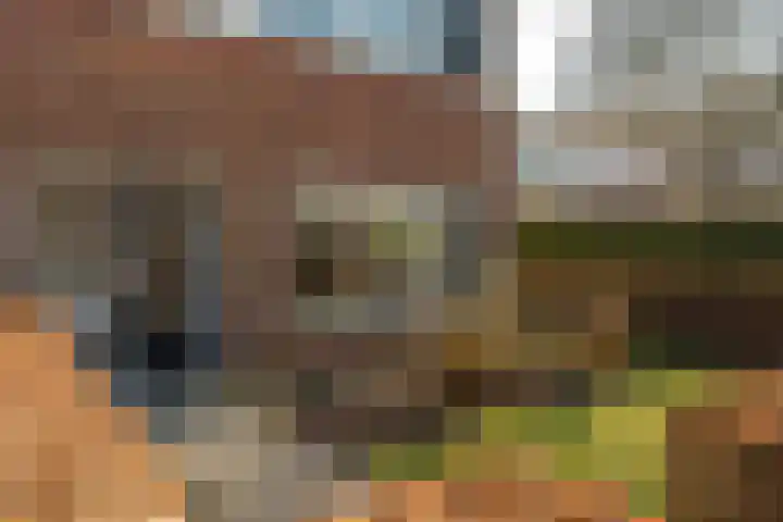 Pier Panderstraat 19 Joure thumbnail 7