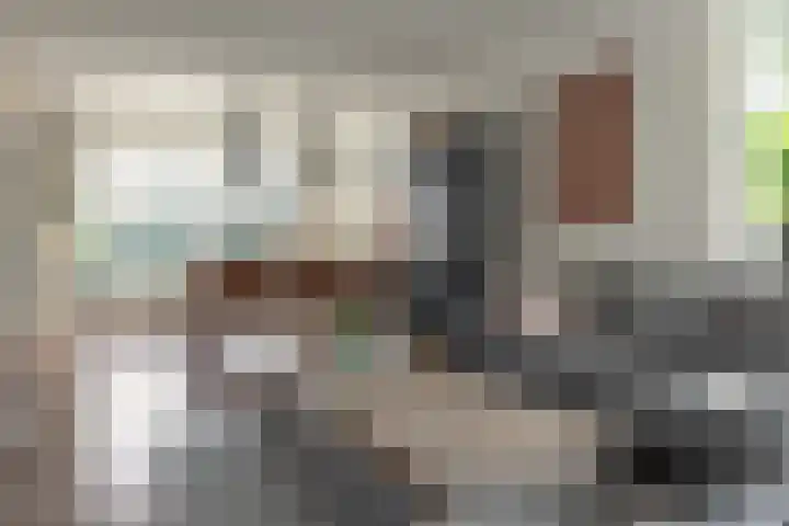 Pier Panderstraat 19 Joure thumbnail 9
