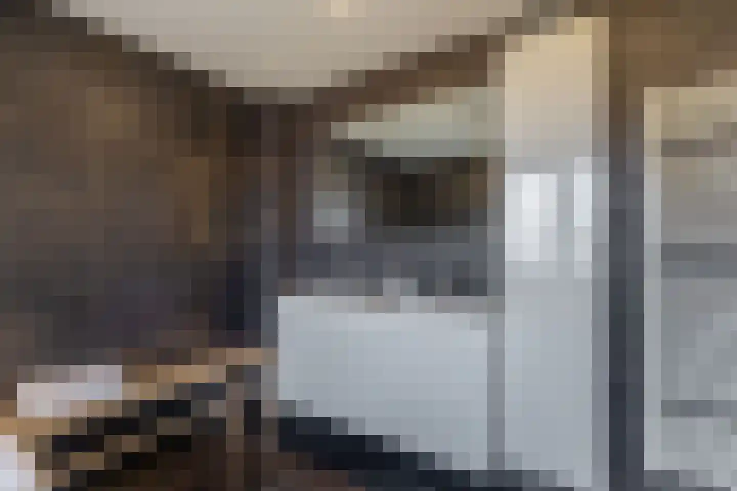 Pier Panderstraat 42 Drachten thumbnail 43
