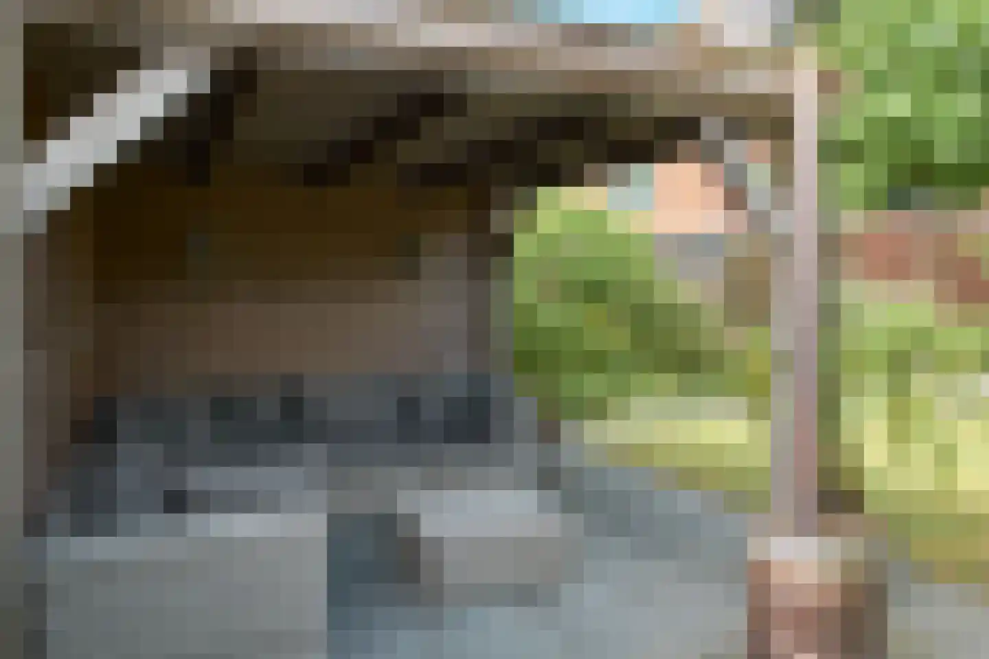 Pier Panderstraat 7 Joure thumbnail 24