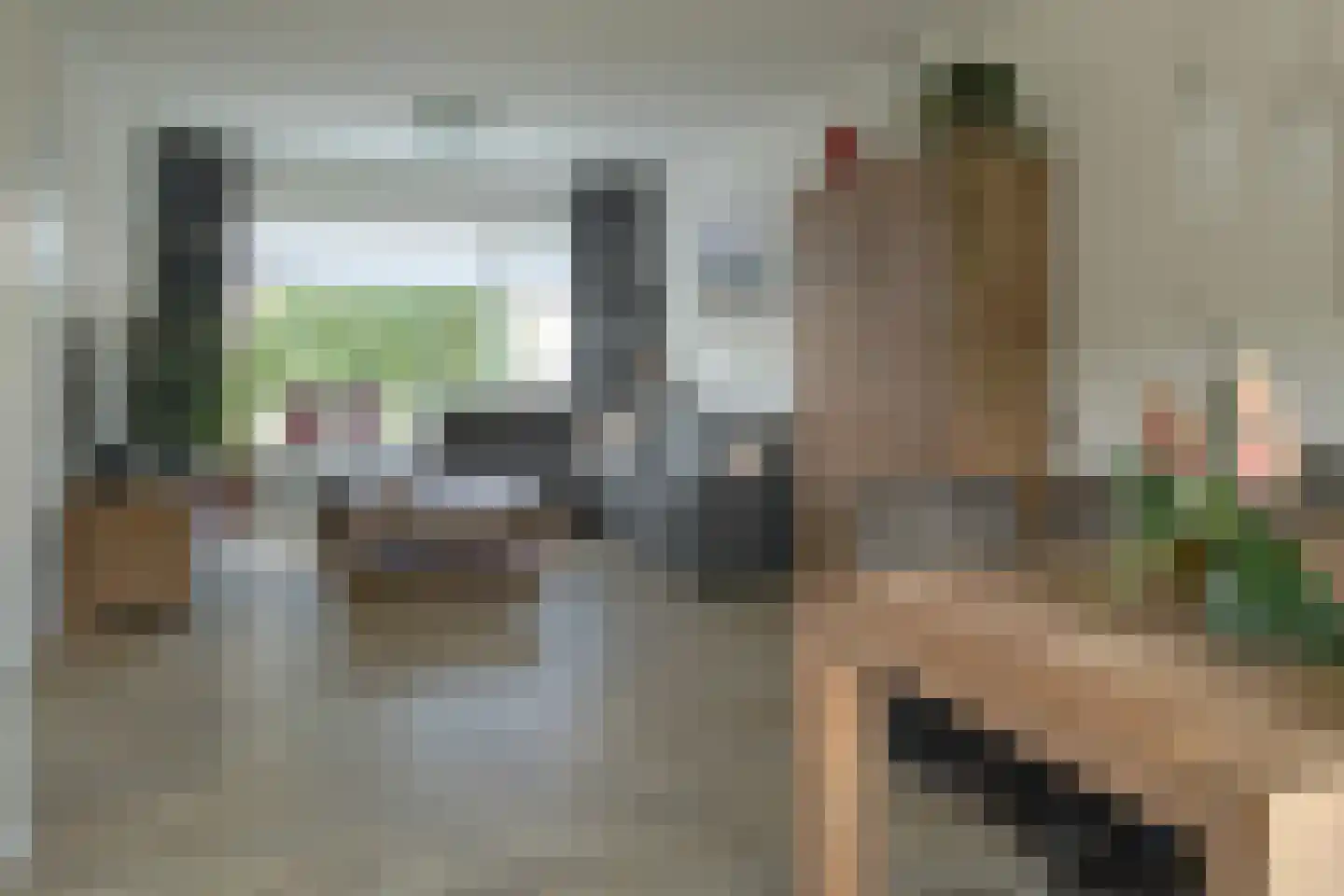 Pier Panderstraat 7 Joure thumbnail 7