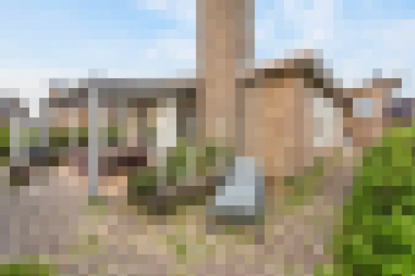Pier Panderweg 5 Bergen aan Zee thumbnail 16