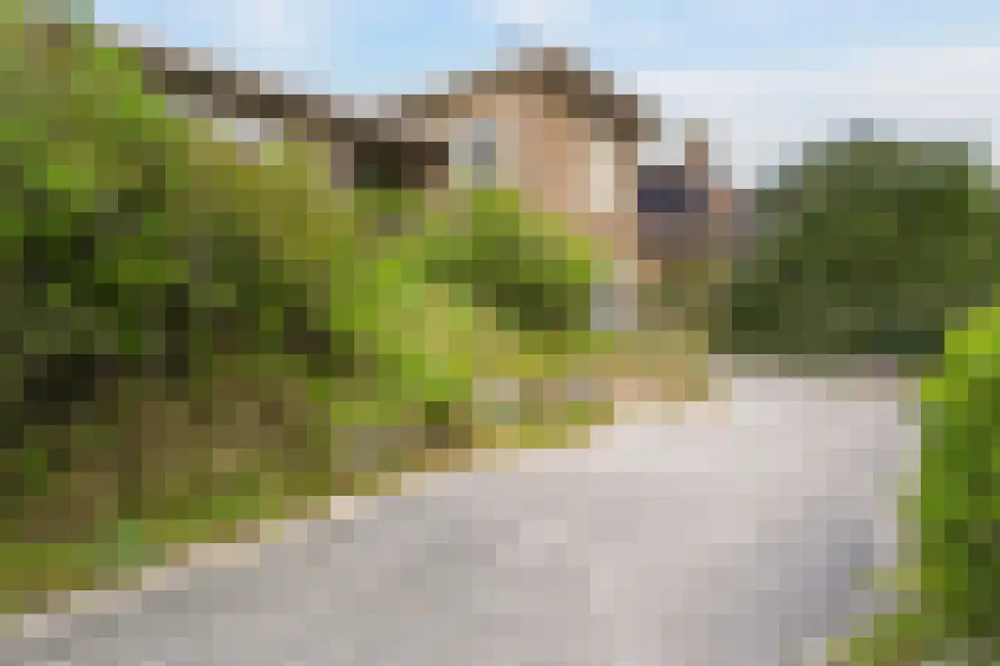 Pier Panderweg 5 Bergen aan Zee thumbnail 34