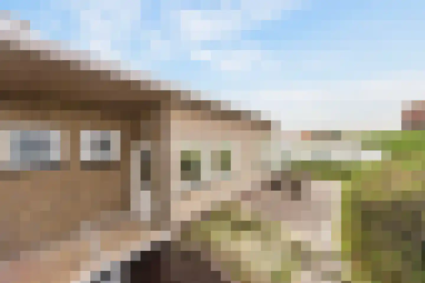 Pier Panderweg 5 Bergen aan Zee thumbnail 34