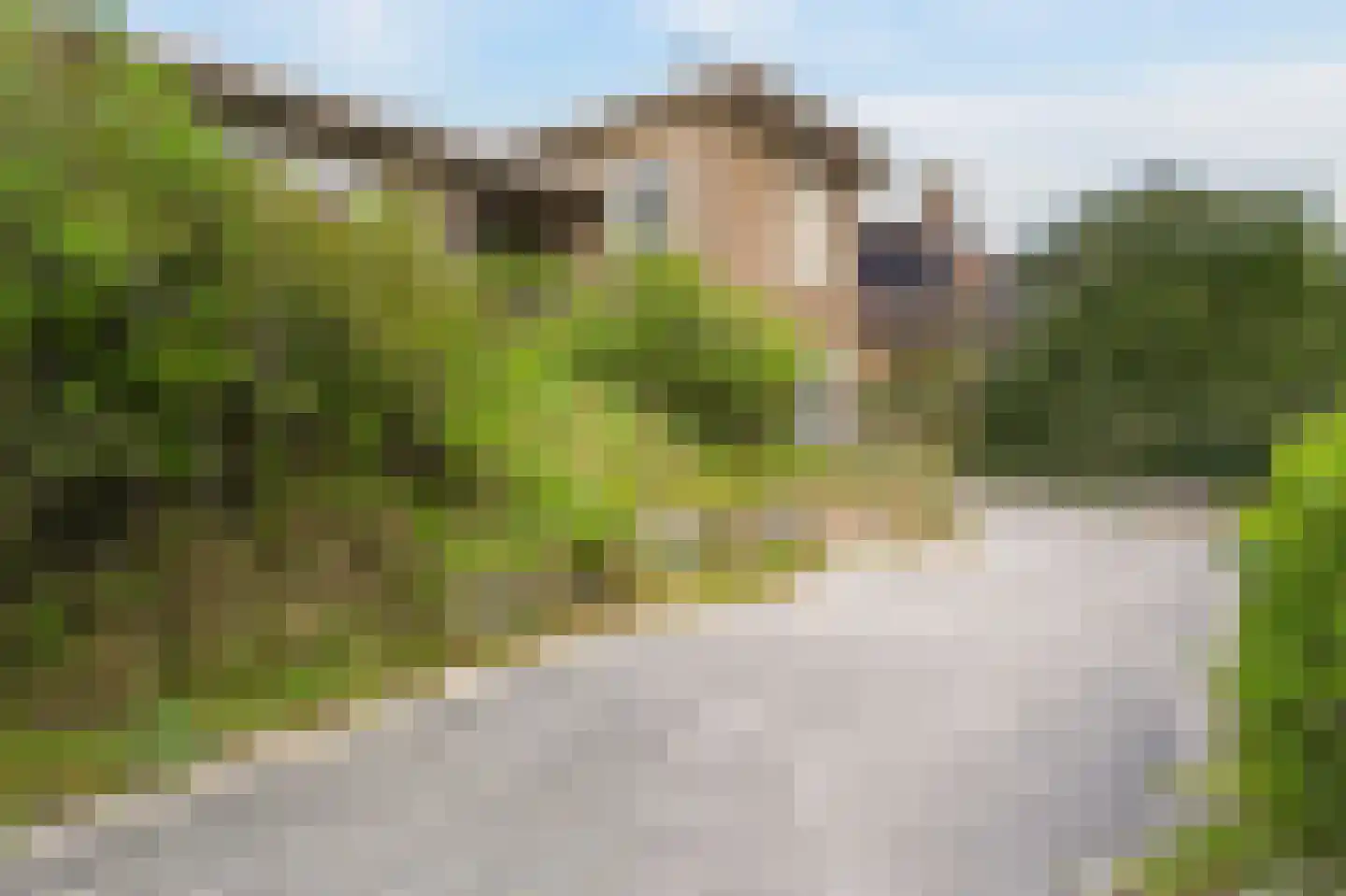 Pier Panderweg 5 Bergen aan Zee thumbnail 36