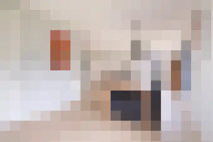 Pier Thomasstrjitte 13 Wytgaard thumbnail 26