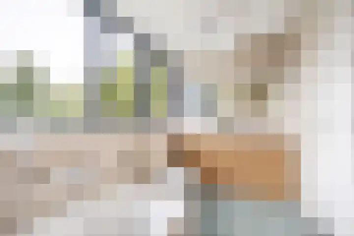 Pier Thomasstrjitte 13 Wytgaard thumbnail 4