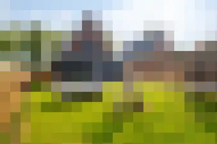 Pier Thomasstrjitte 13 Wytgaard thumbnail 40