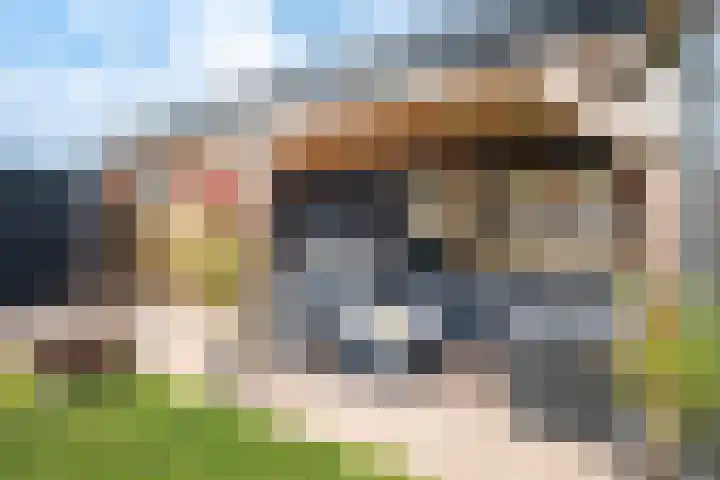 Pier Thomasstrjitte 13 Wytgaard thumbnail 43