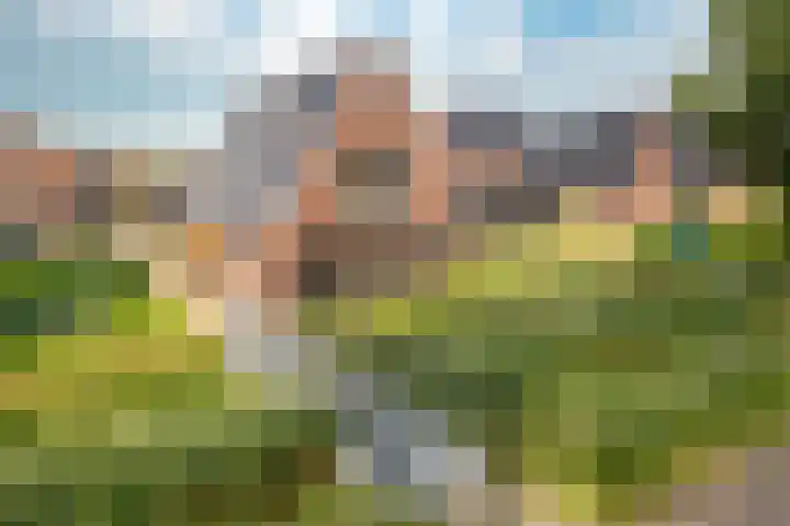Pier Thomasstrjitte 13 Wytgaard thumbnail 6