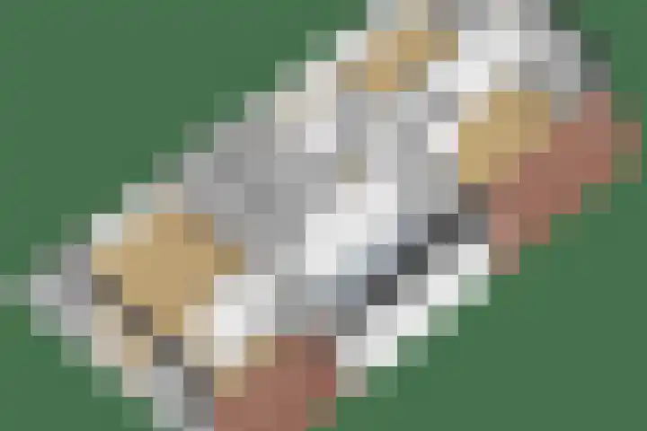 Pier Thomasstrjitte 13 Wytgaard thumbnail 67