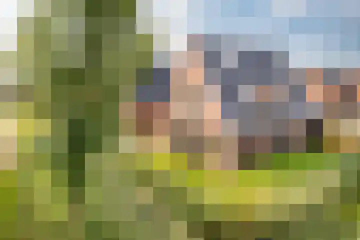 Pier Thomasstrjitte 13 Wytgaard thumbnail 7