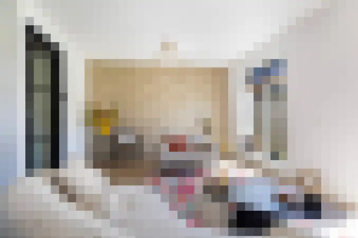 Pier Thomasstrjitte 2 Wytgaard thumbnail 12