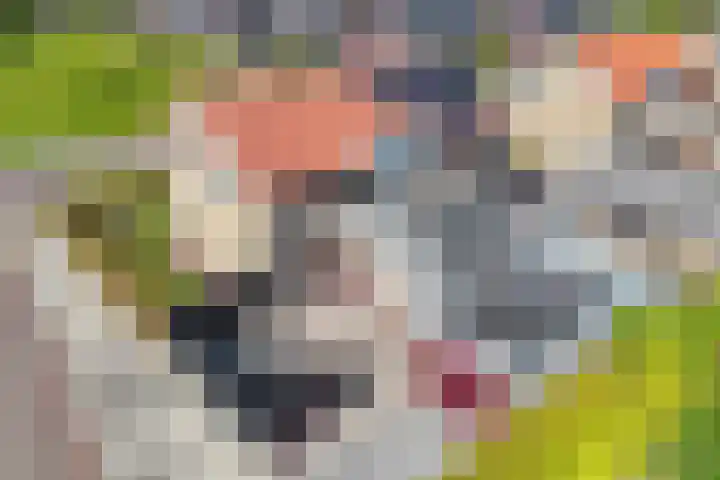 Pier Winsemiusleane 32 Winsum thumbnail 4