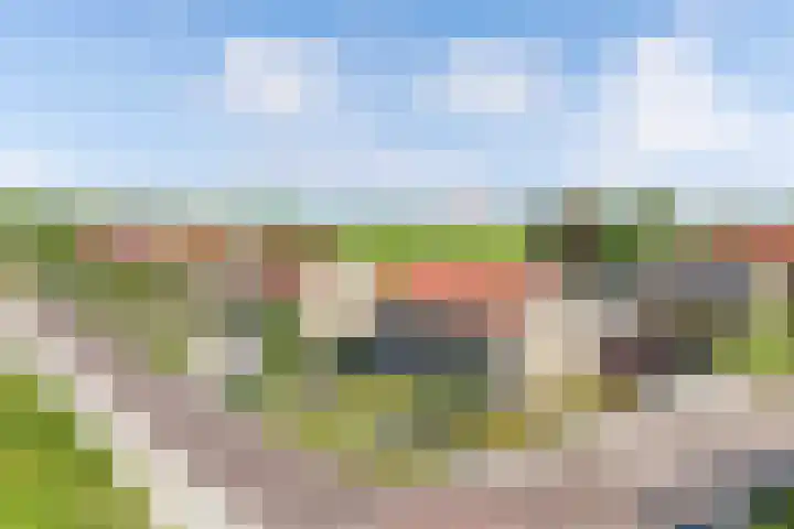 Pier Winsemiusleane 32 Winsum thumbnail 53