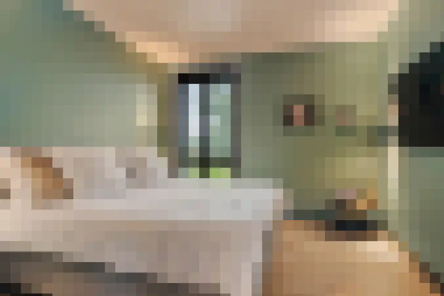 Pierebaan 119 Monnickendam thumbnail 35