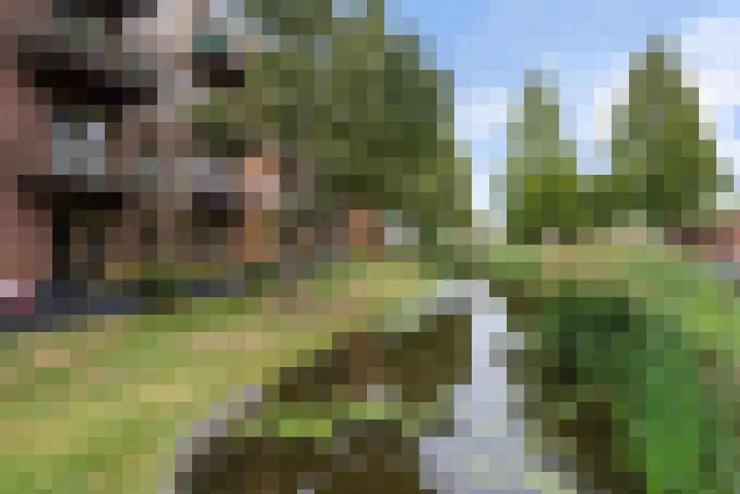 Pierebaan 119 Monnickendam thumbnail 41