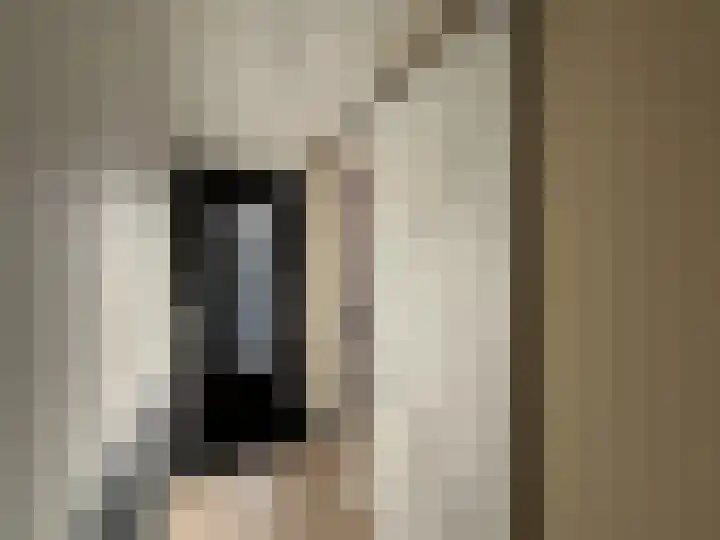 Pierebaan 41 Monnickendam thumbnail 7