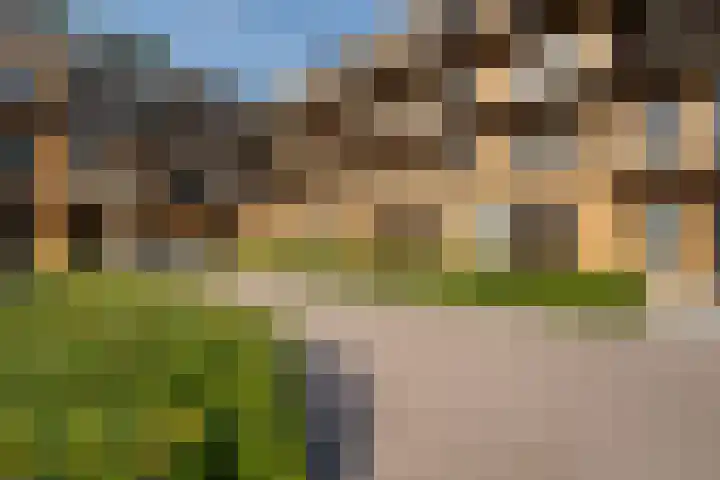 Pierebaan 7 Monnickendam thumbnail 20