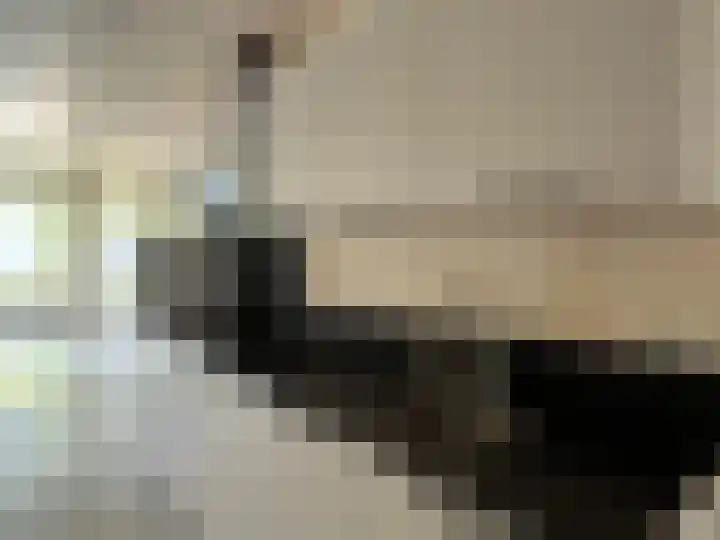 Pierebaan 7 Monnickendam thumbnail 7