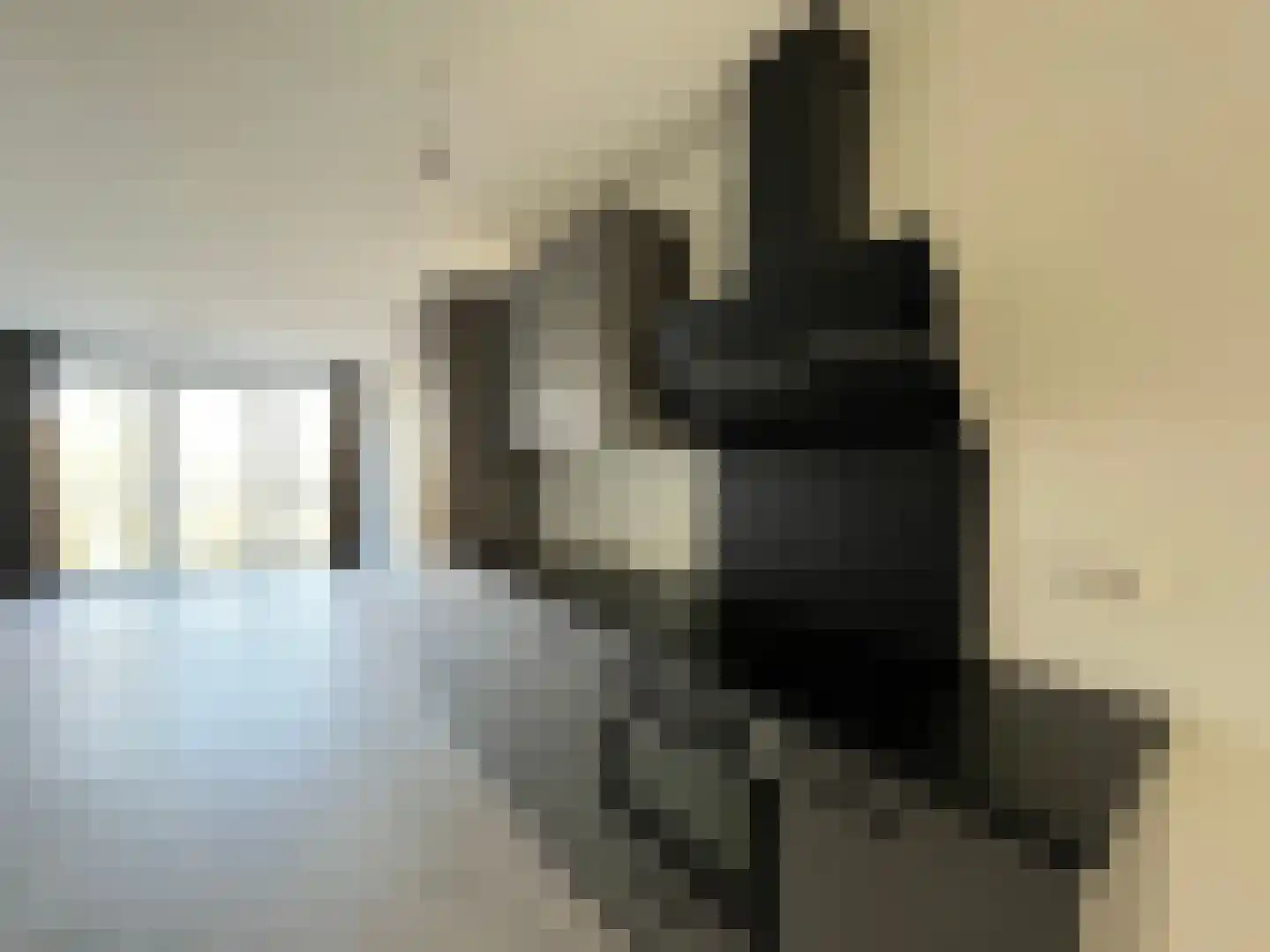 Pierebaan 79 Monnickendam thumbnail 4