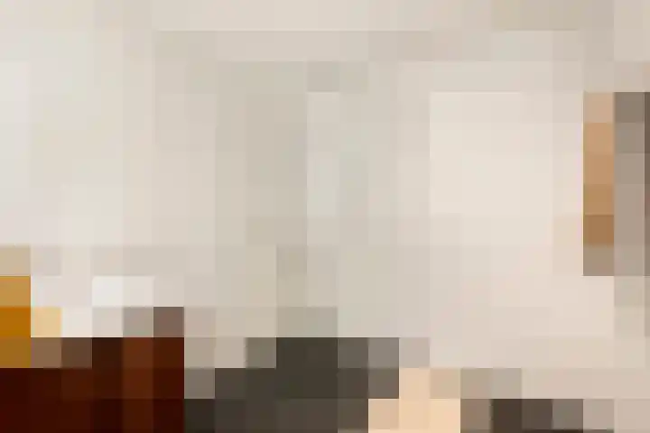 Pierebaan 81 Monnickendam thumbnail 23