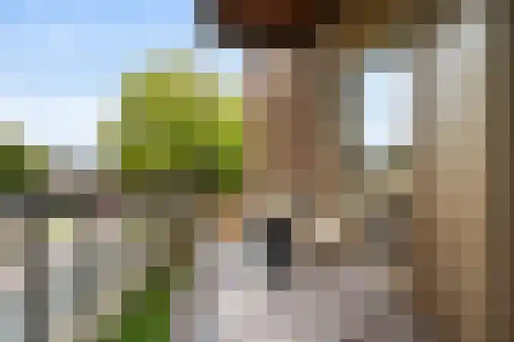 Pierebaan 81 Monnickendam thumbnail 29