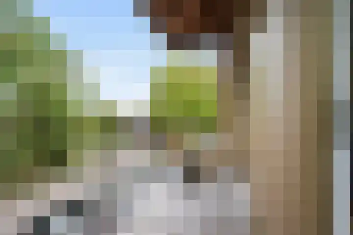 Pierebaan 81 Monnickendam thumbnail 30