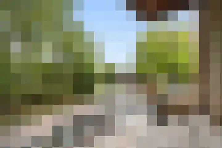 Pierebaan 81 Monnickendam thumbnail 31