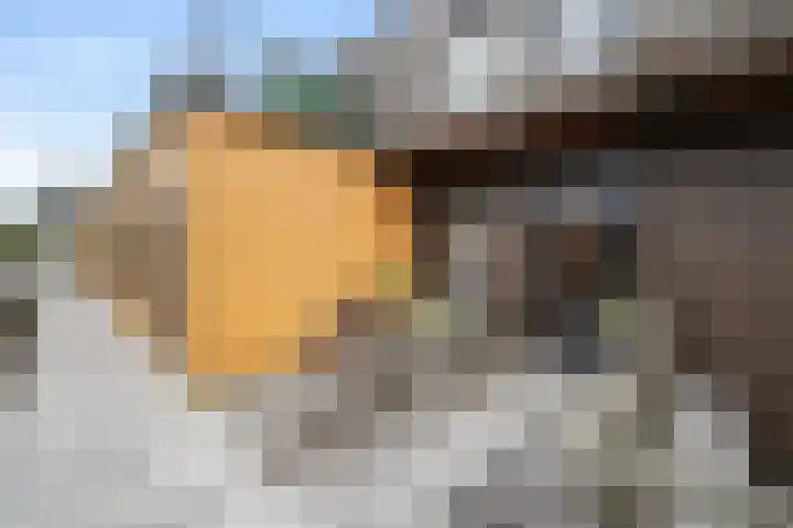 Pierebaan 81 Monnickendam thumbnail 34