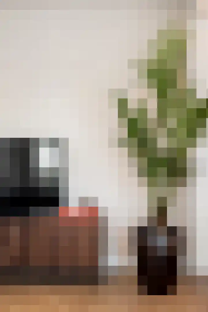Pierebaan 81 Monnickendam thumbnail 7