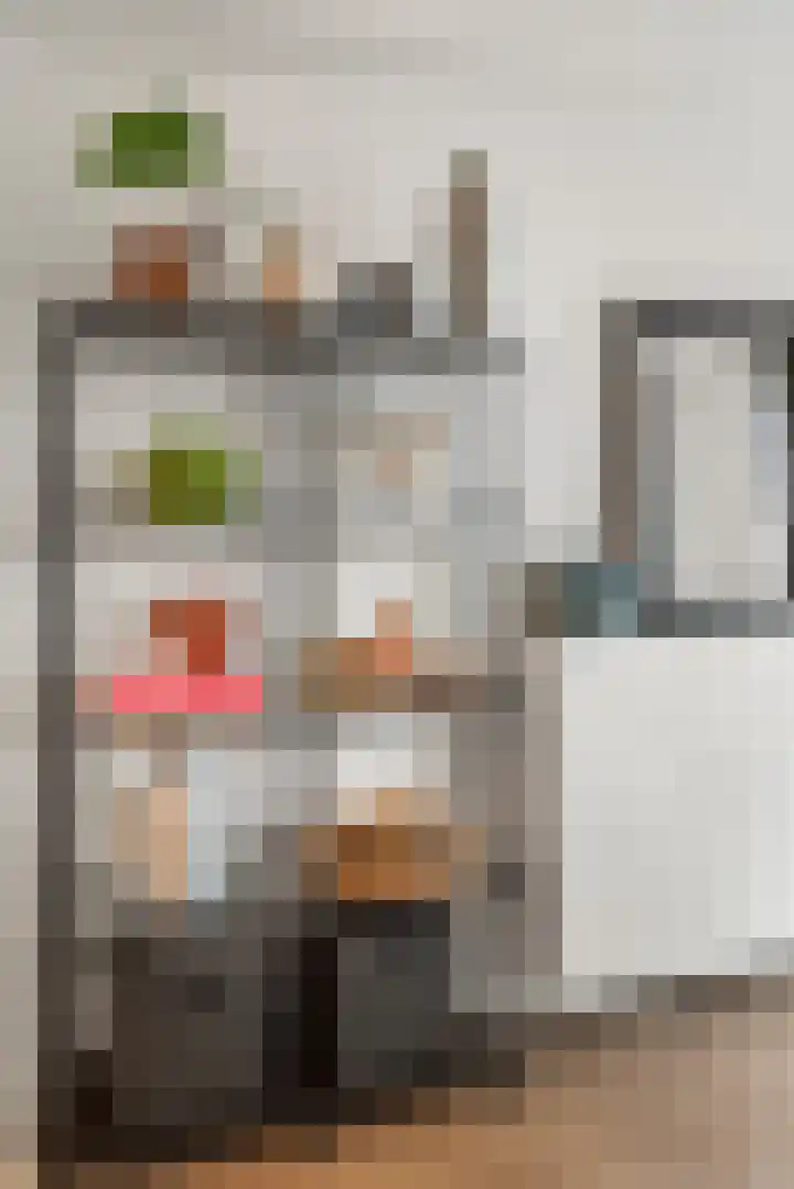 Pierebaan 81 Monnickendam thumbnail 8