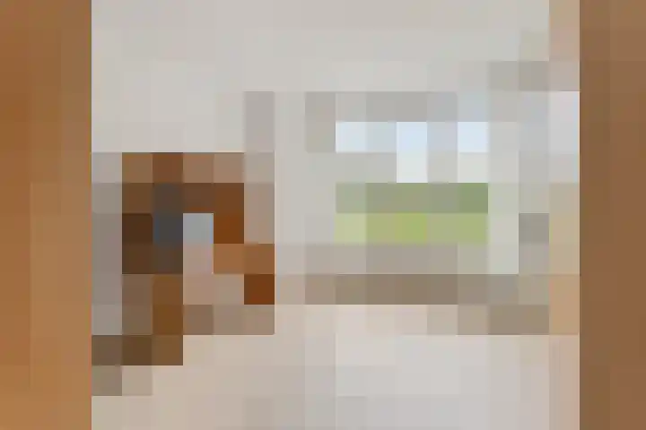 Pierestraat 11 Rucphen thumbnail 19