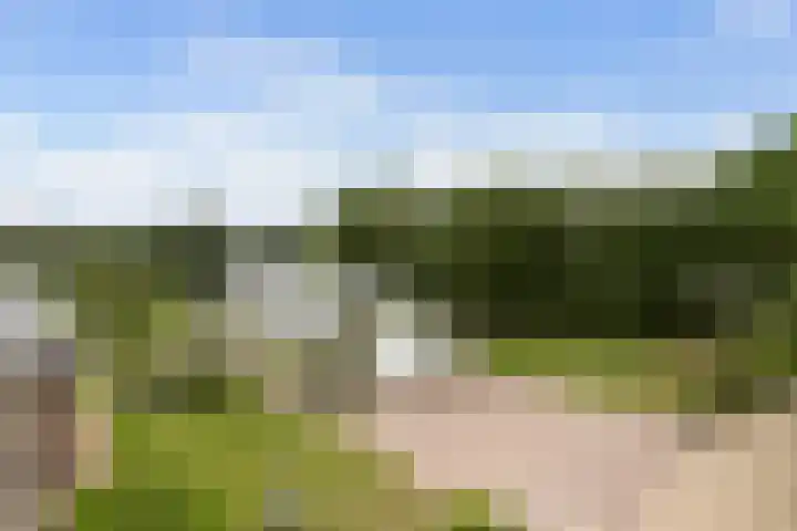 Pierestraat 11 Rucphen foto 2