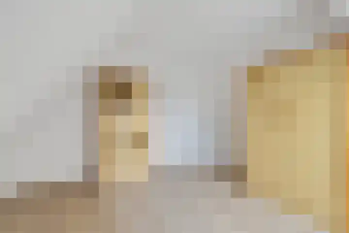 Pierestraat 11 Rucphen thumbnail 29