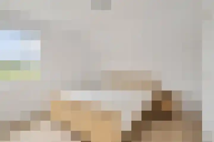 Pierestraat 11 Rucphen thumbnail 30