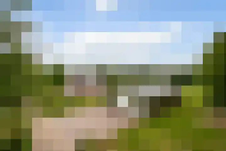 Pierestraat 11 Rucphen thumbnail 32