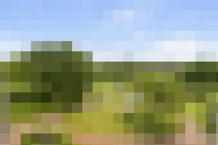 Pierestraat 11 Rucphen thumbnail 34