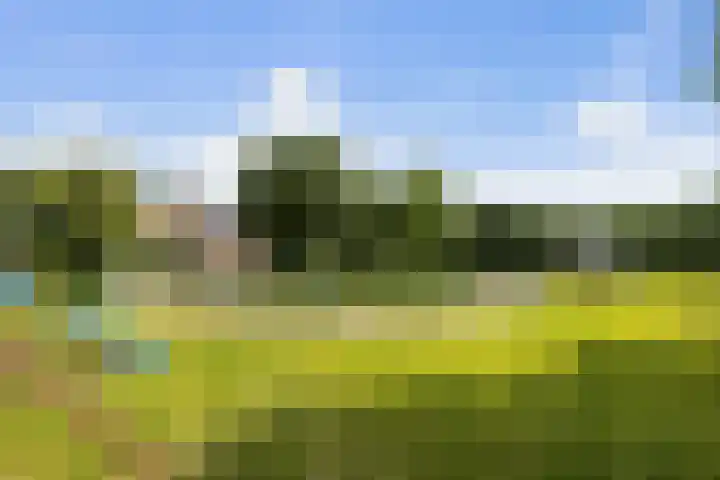 Pierestraat 11 Rucphen thumbnail 36