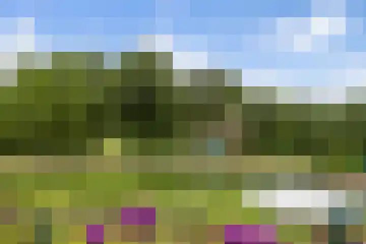 Pierestraat 11 Rucphen thumbnail 37