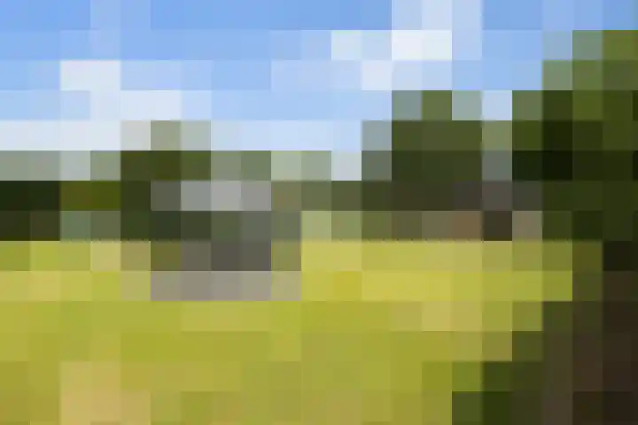 Pierestraat 11 Rucphen thumbnail 41