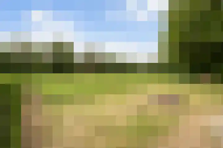 Pierestraat 11 Rucphen thumbnail 43